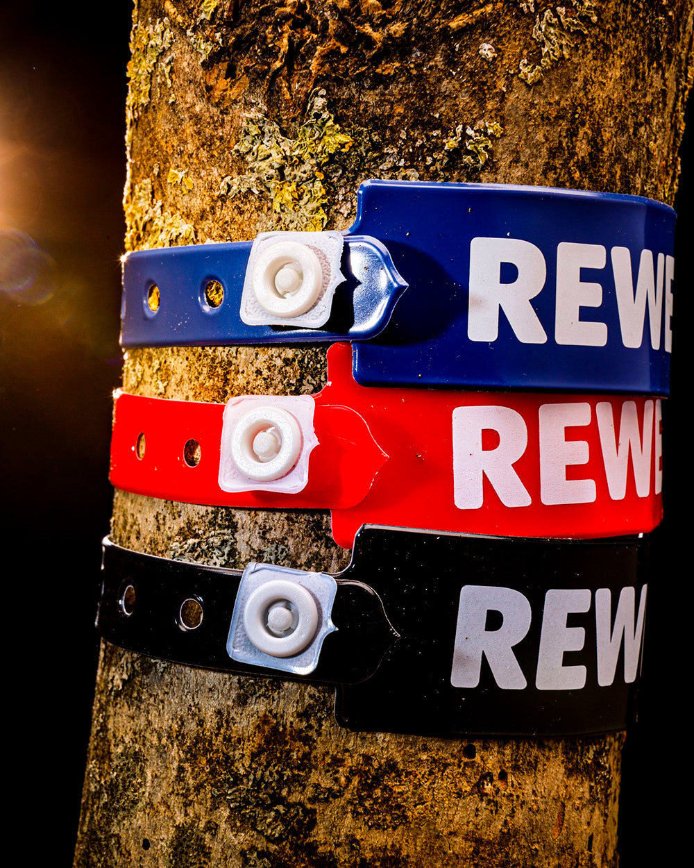 Mehrere bedruckte PVC-Einlassbänder in verschiedenen Farben um einen Baumstamm gebunden