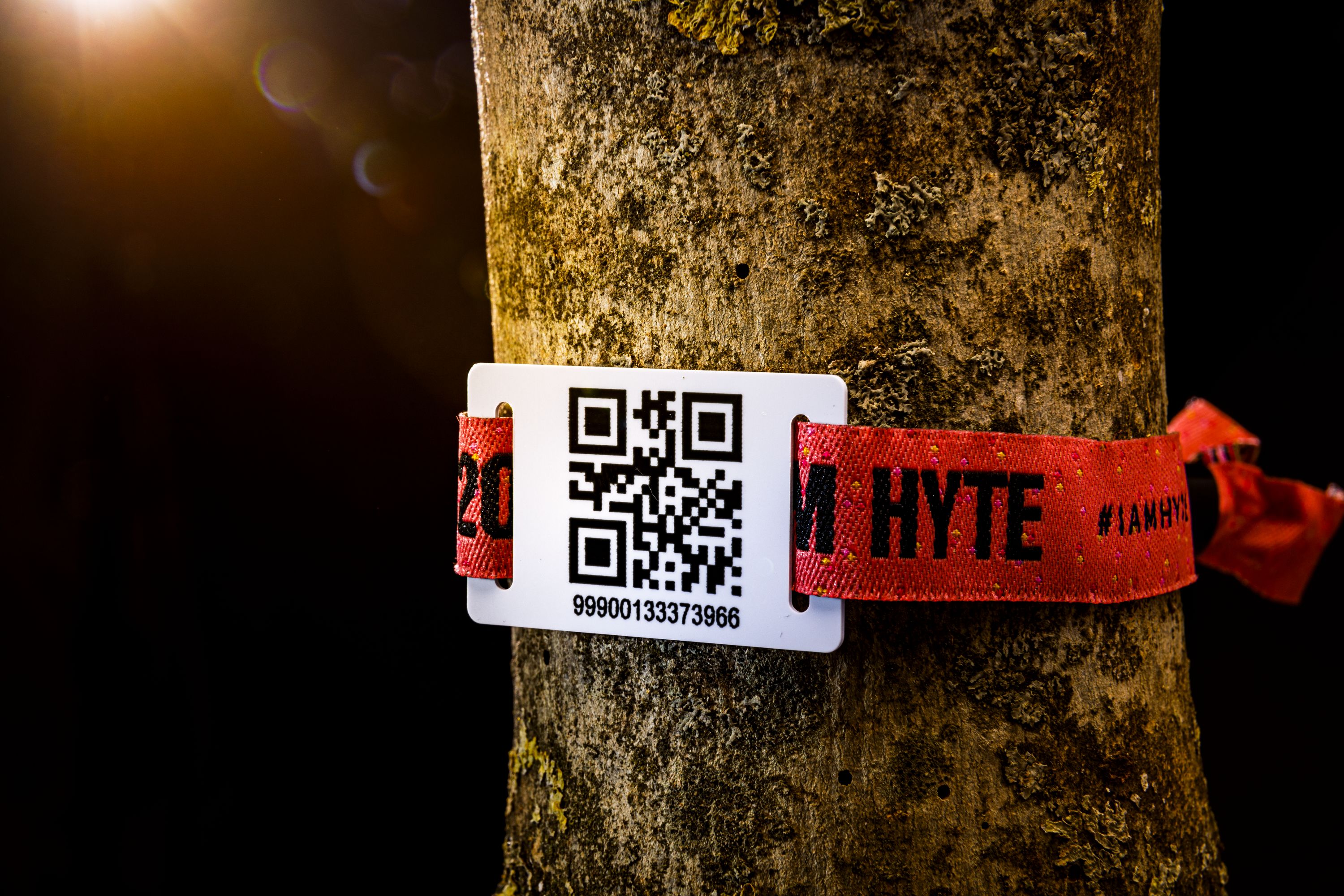 Rotes Festival-Armband mit QR-Code an einem Baumstamm befestig